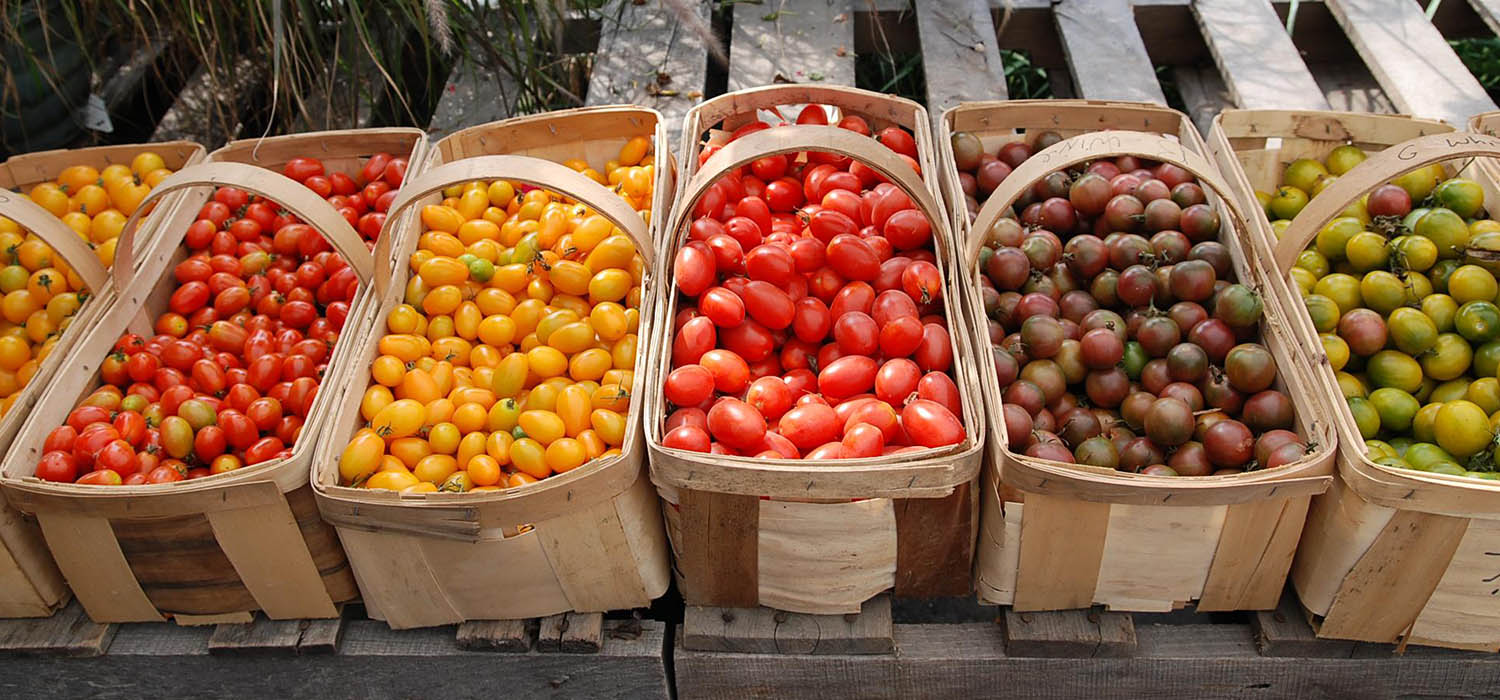 baskets of vegetables lined up on a table