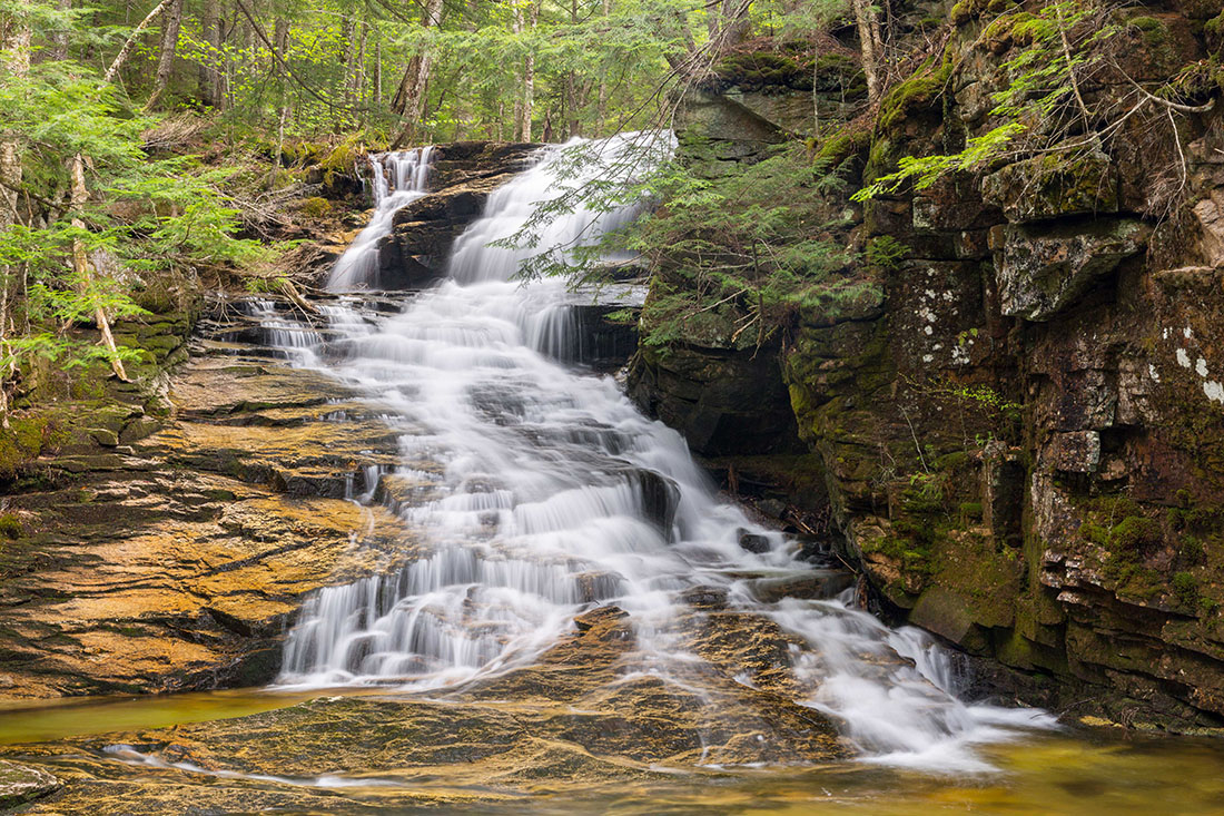 Waterfall surrounded by trees and rocks