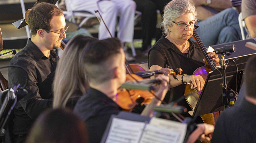 a group of musicians