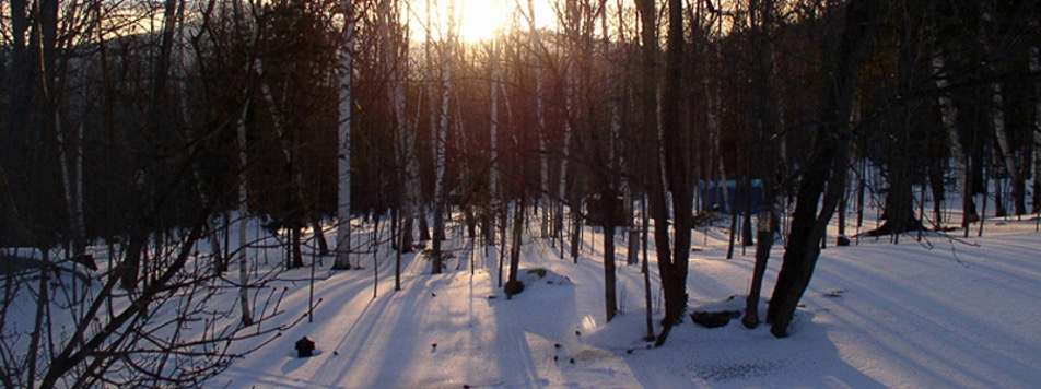 Image at Blue Job on an early winter morning with the sun peaking through the trees