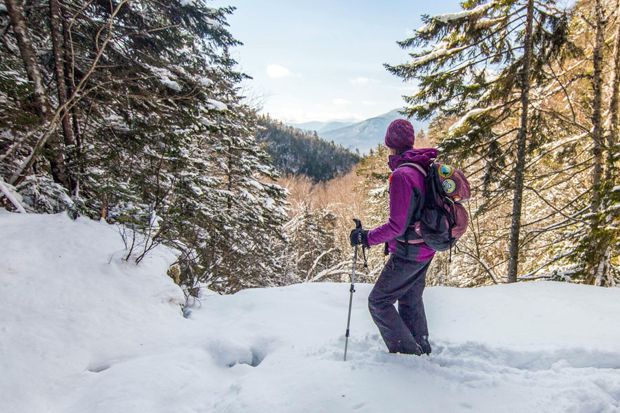 a woman admiring a view in winter