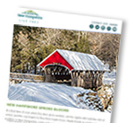 Image of a newsletter with a covered bridge in winter