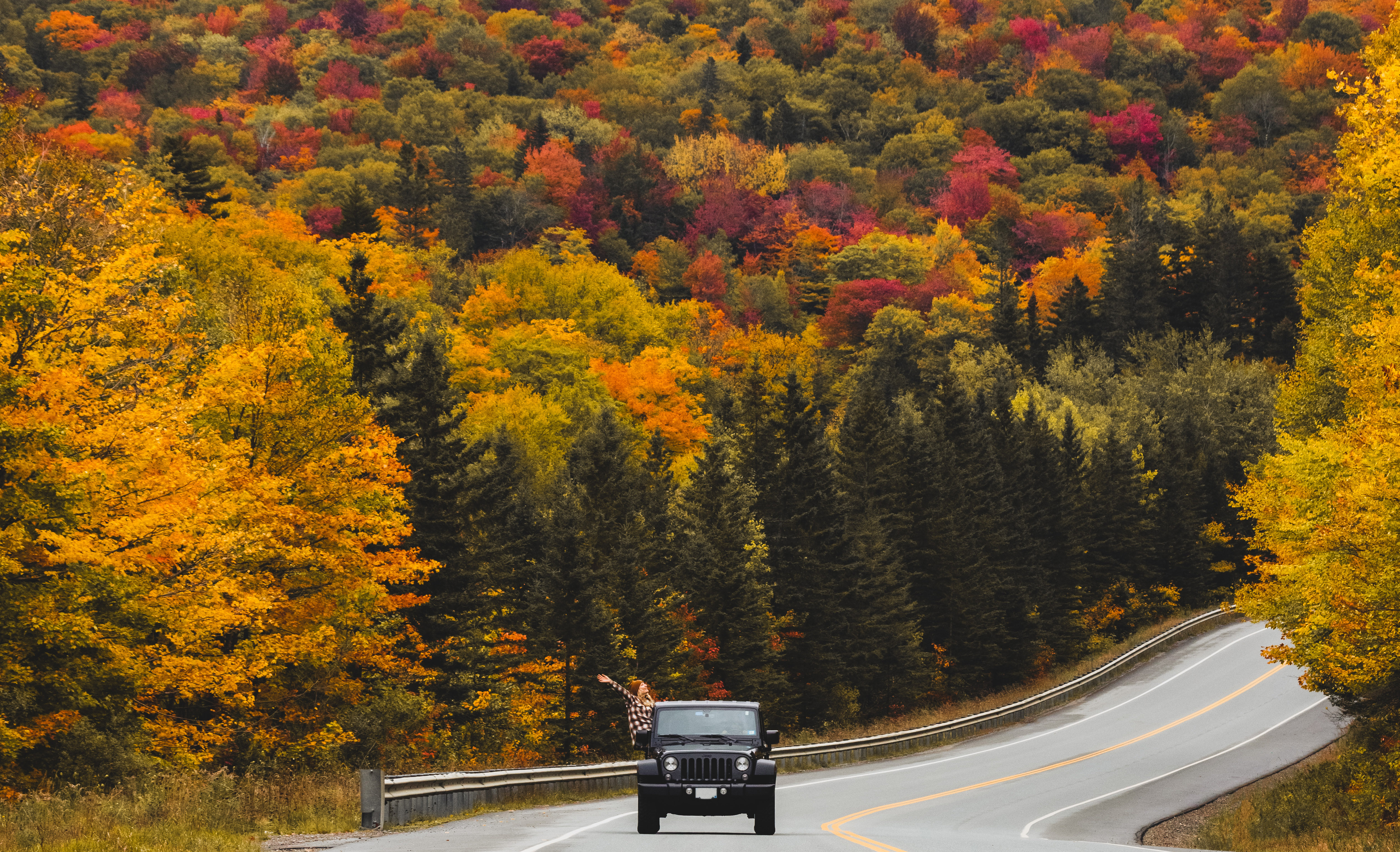 Vehicle driving through Foliage